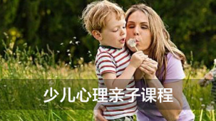 深圳少儿心理咨询师培训班,深圳德瑞姆少儿心理咨询师培训,深圳儿童心理咨询师培训