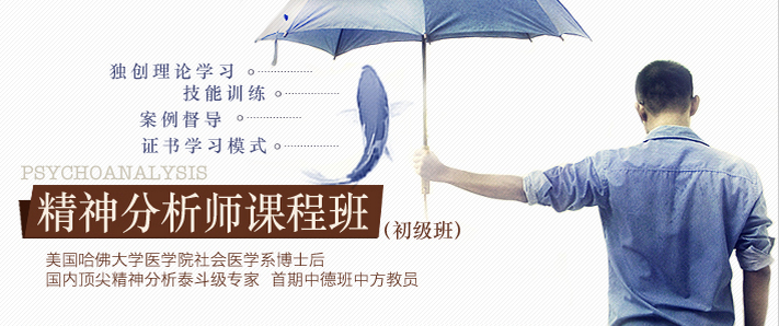 苏州精神分析师认证培训,苏州市精神分析师培训班,苏州德瑞姆精神分析疗法培训