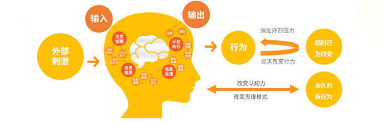 博沃思教育