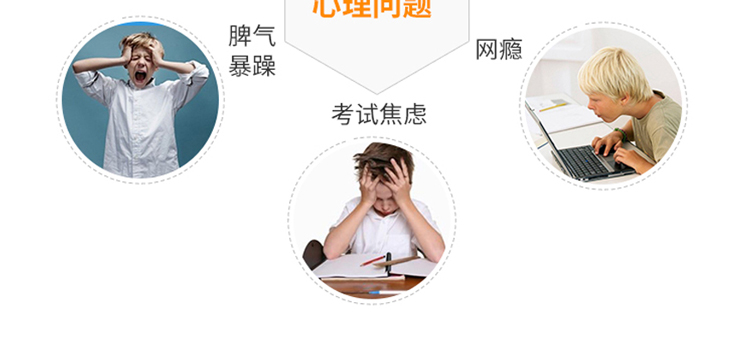 博沃思教育