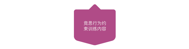 行为纠正