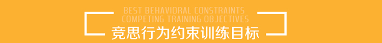 行为纠正