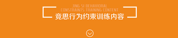 行为纠正