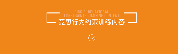 行为纠正